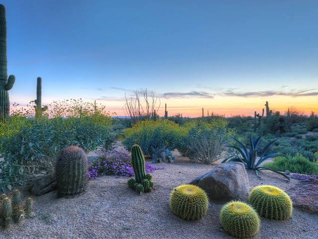 Desert Landscaping Ideas & Tips to Transform Your Home | HGTV
