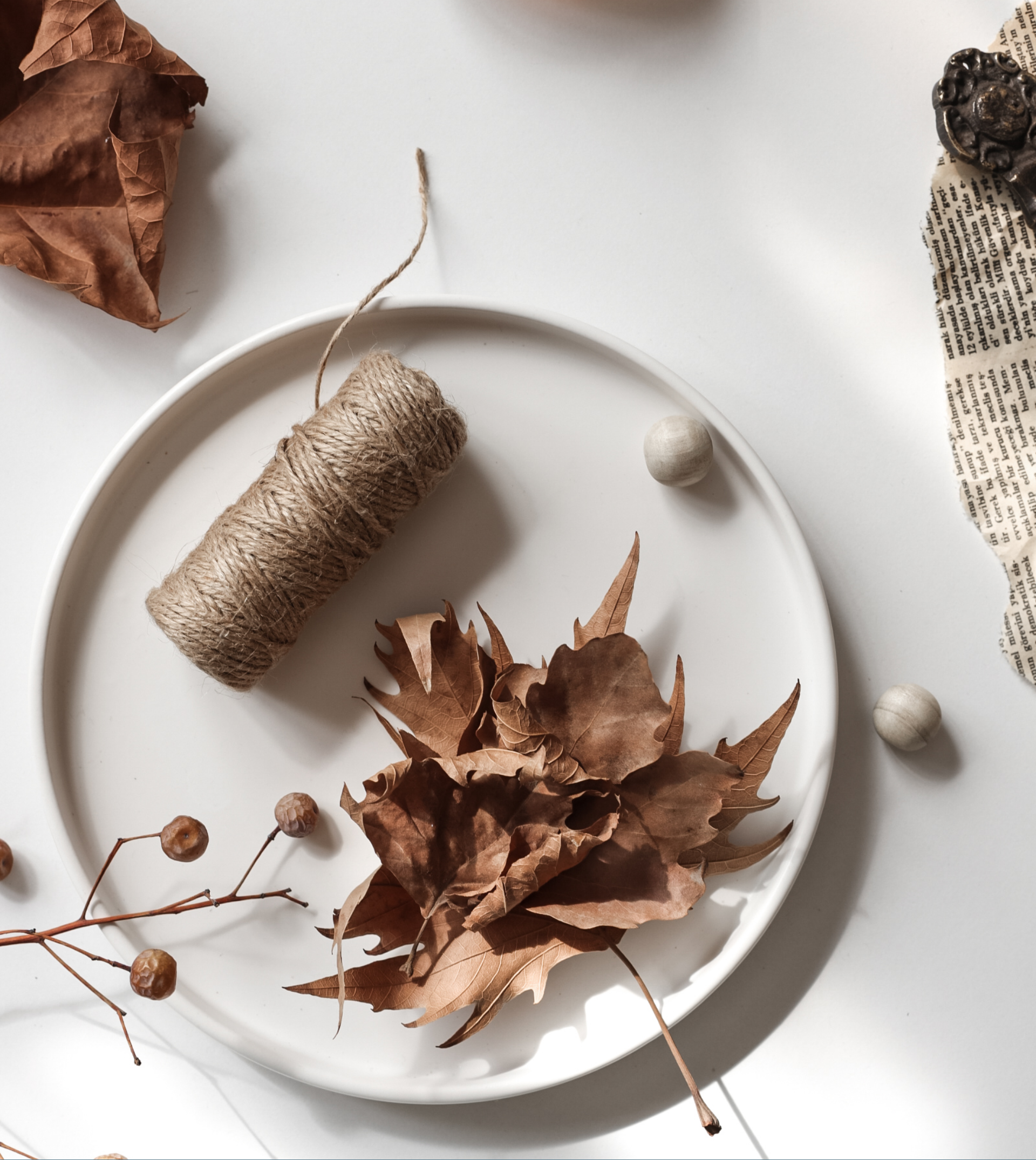 Elegant arrangement of autumn leaves and twine on a plate with dried elements, perfect for seasonal themes.