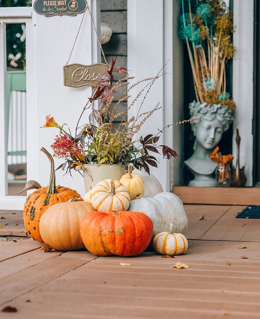 Fall Front Porch Magic: Best Decorating Ideas for You
