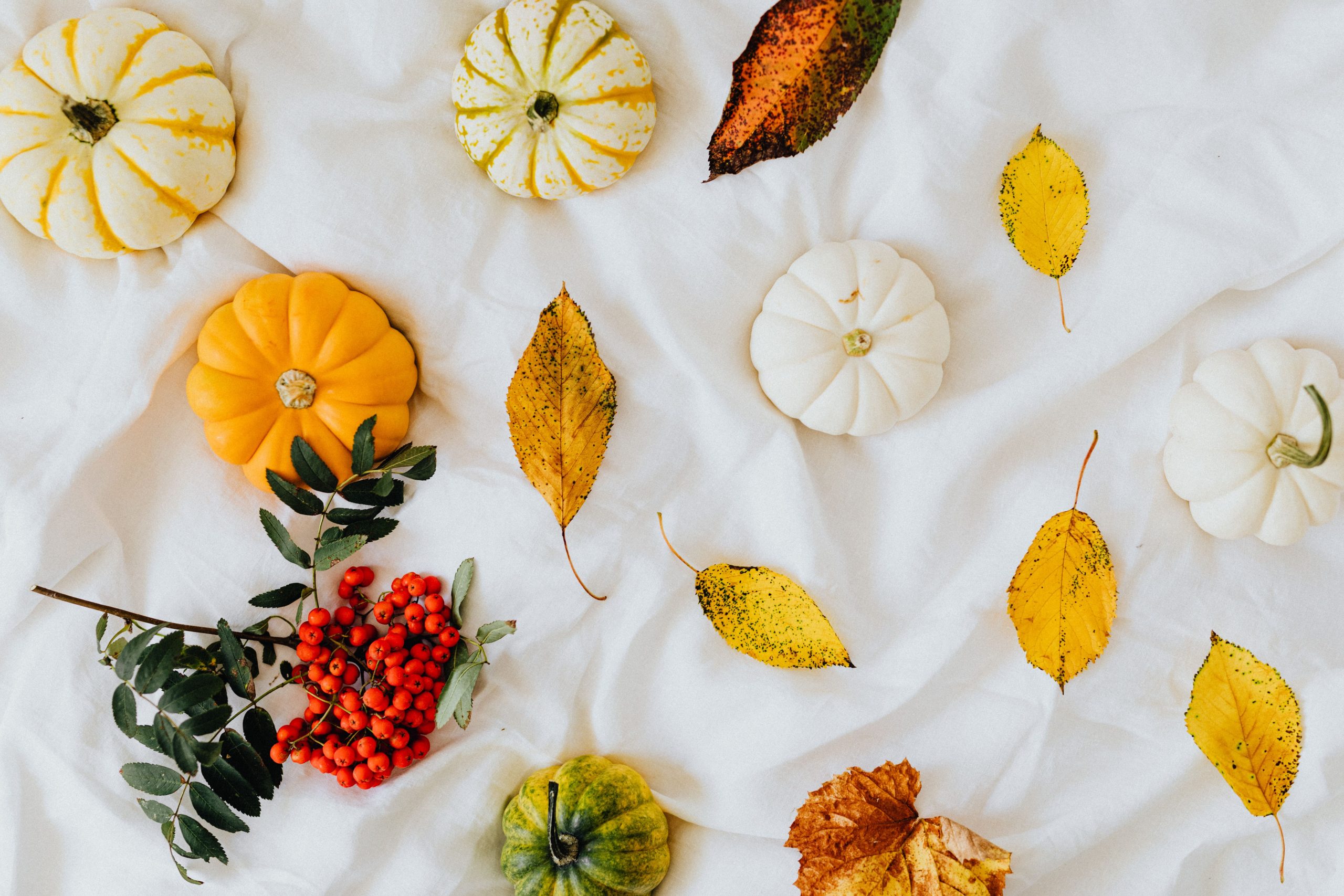 Flat lay of pumpkins, leaves, and berries on white fabric, capturing autumn's essence.