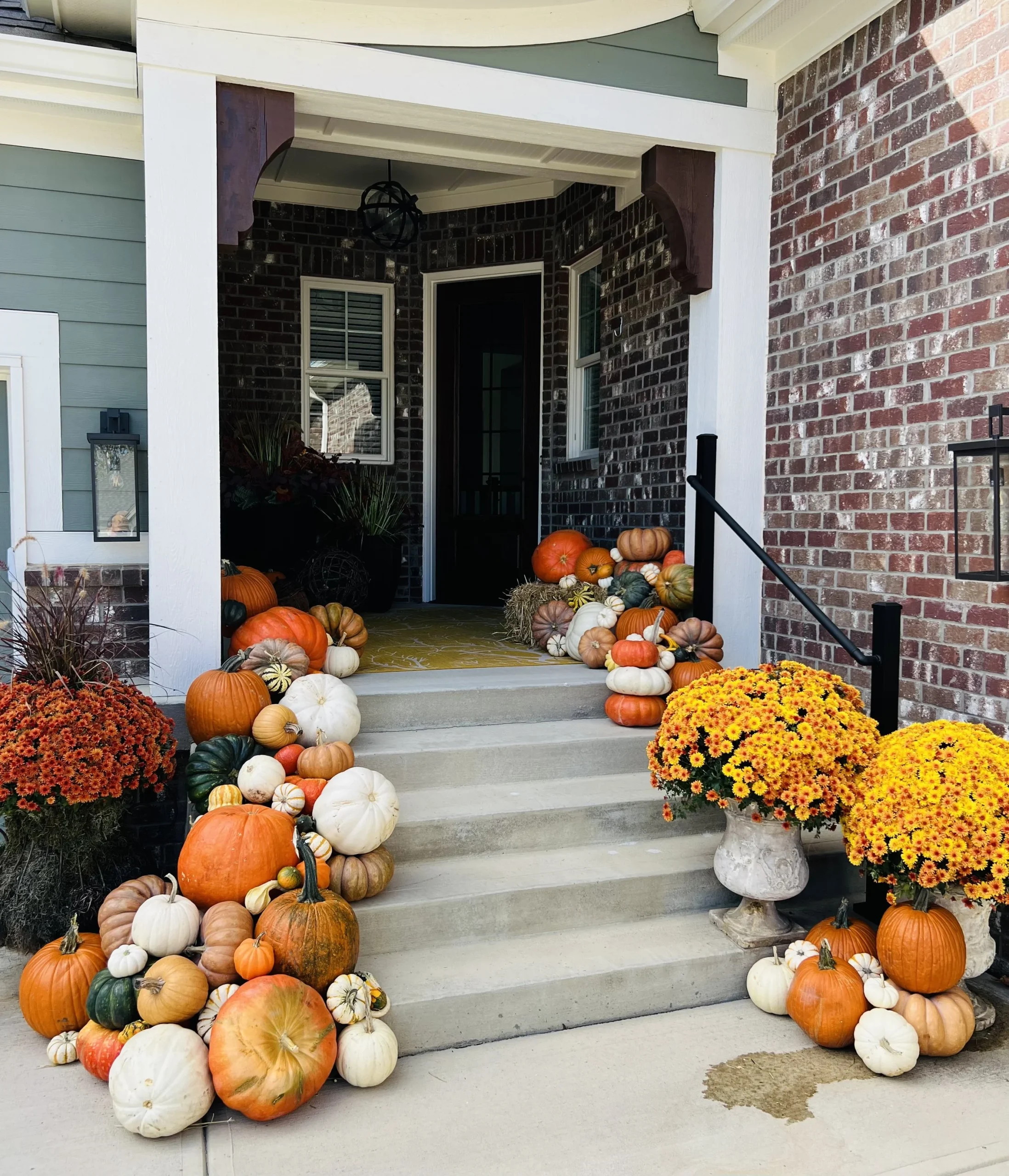 Graceful Gourds