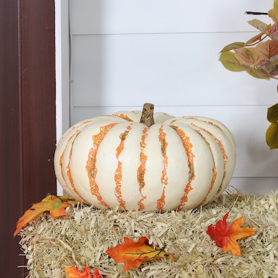 Holiday Living 8-in Harvest White Pumpkin Decor LW20-NXJEA032 at Lowes.com