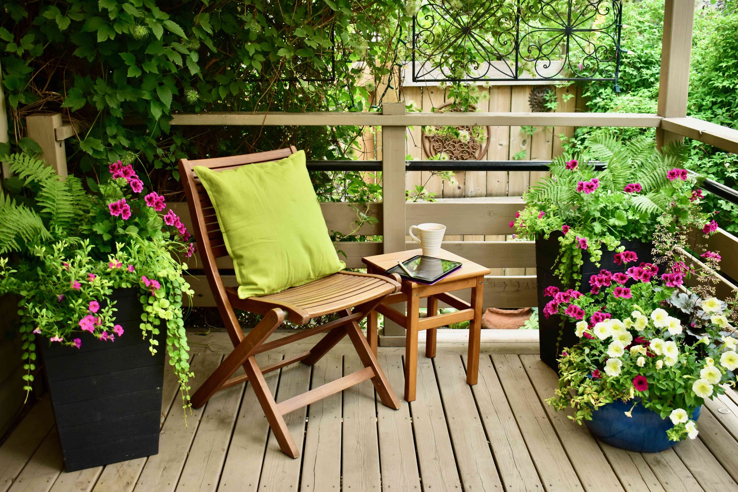 How to Garden on a Deck: 12 Expert Tips for Thriving Plants in Small Spaces