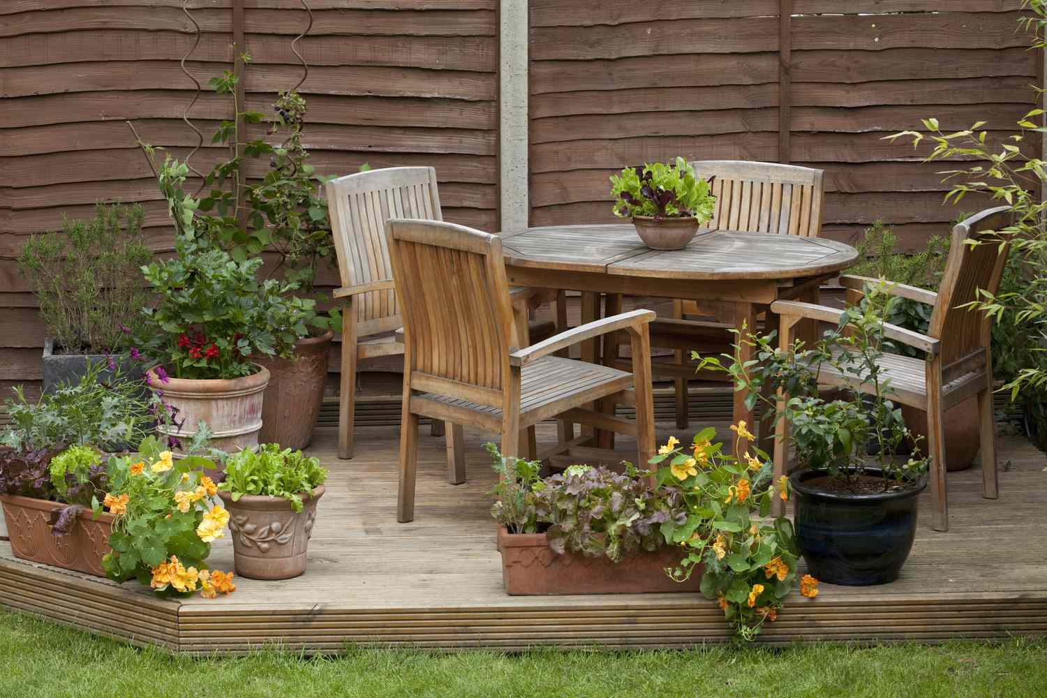 How to Garden on a Deck: 12 Expert Tips for Thriving Plants in Small Spaces