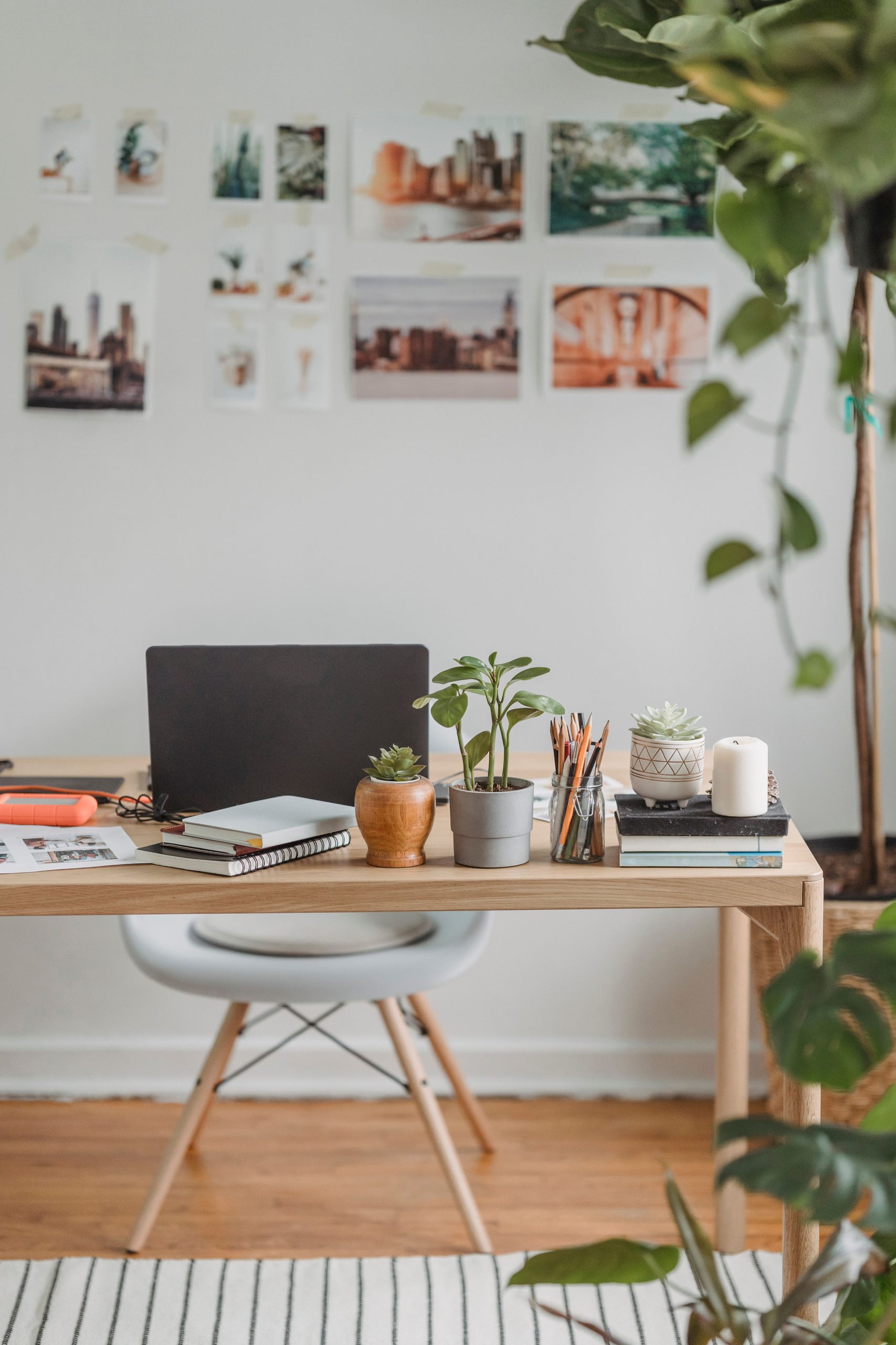 Interior of apartment with netbook placed on table decorated with potted plants for distant work from home