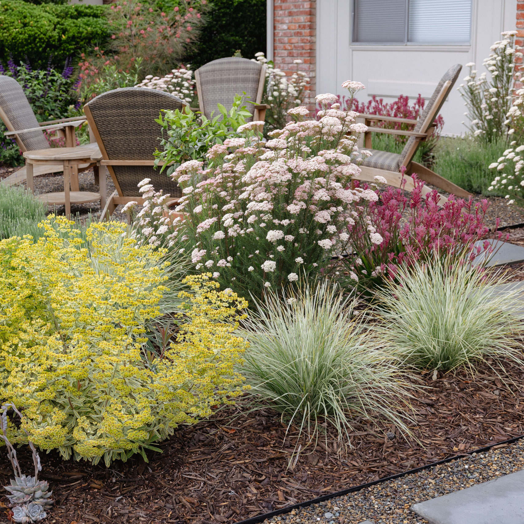 Landscape Design Service - The Ruth Bancroft Garden & Nursery