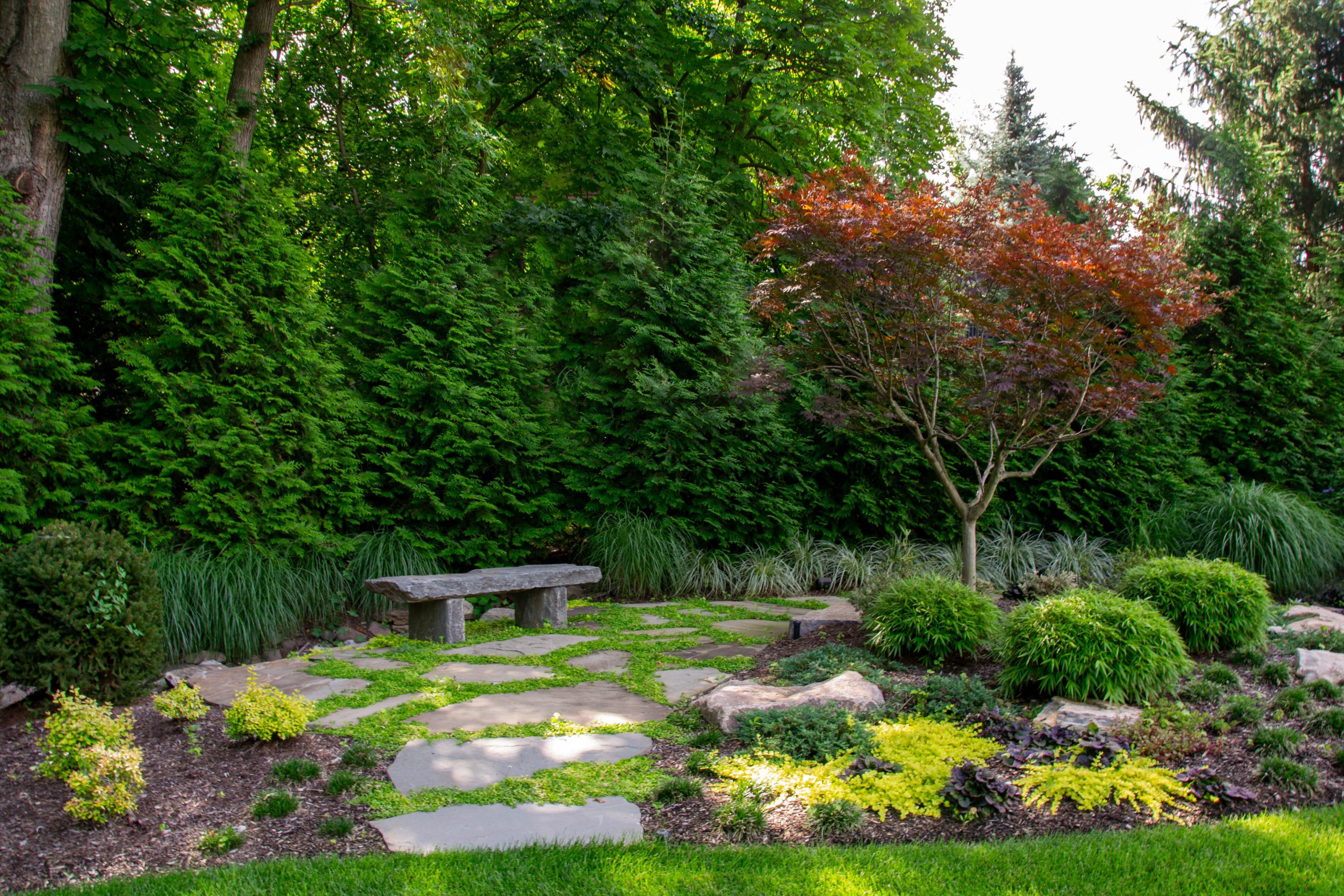 Landscaping for Privacy & Road Noise Reduction
