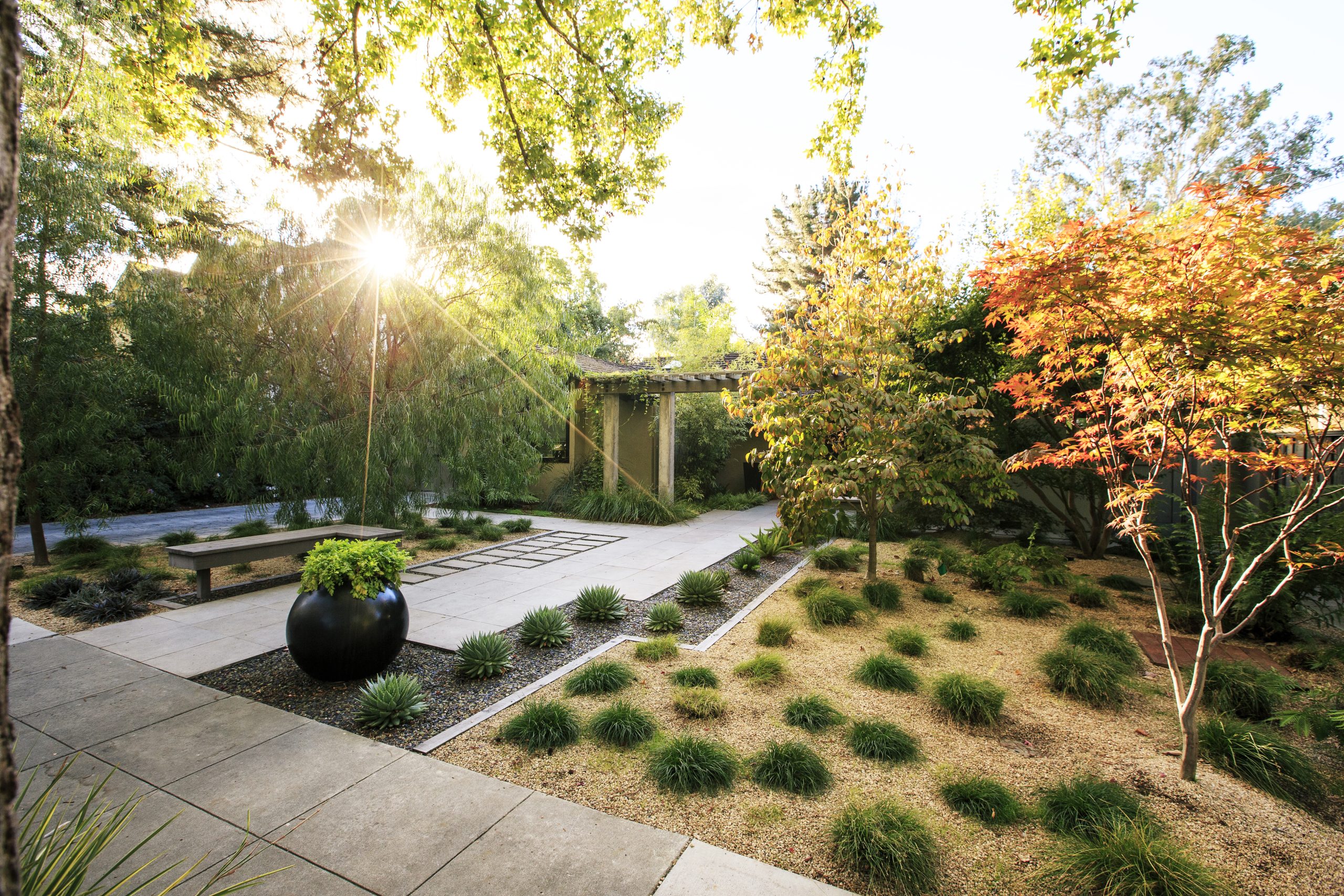 Landscaping without Grass – Sunset Magazine