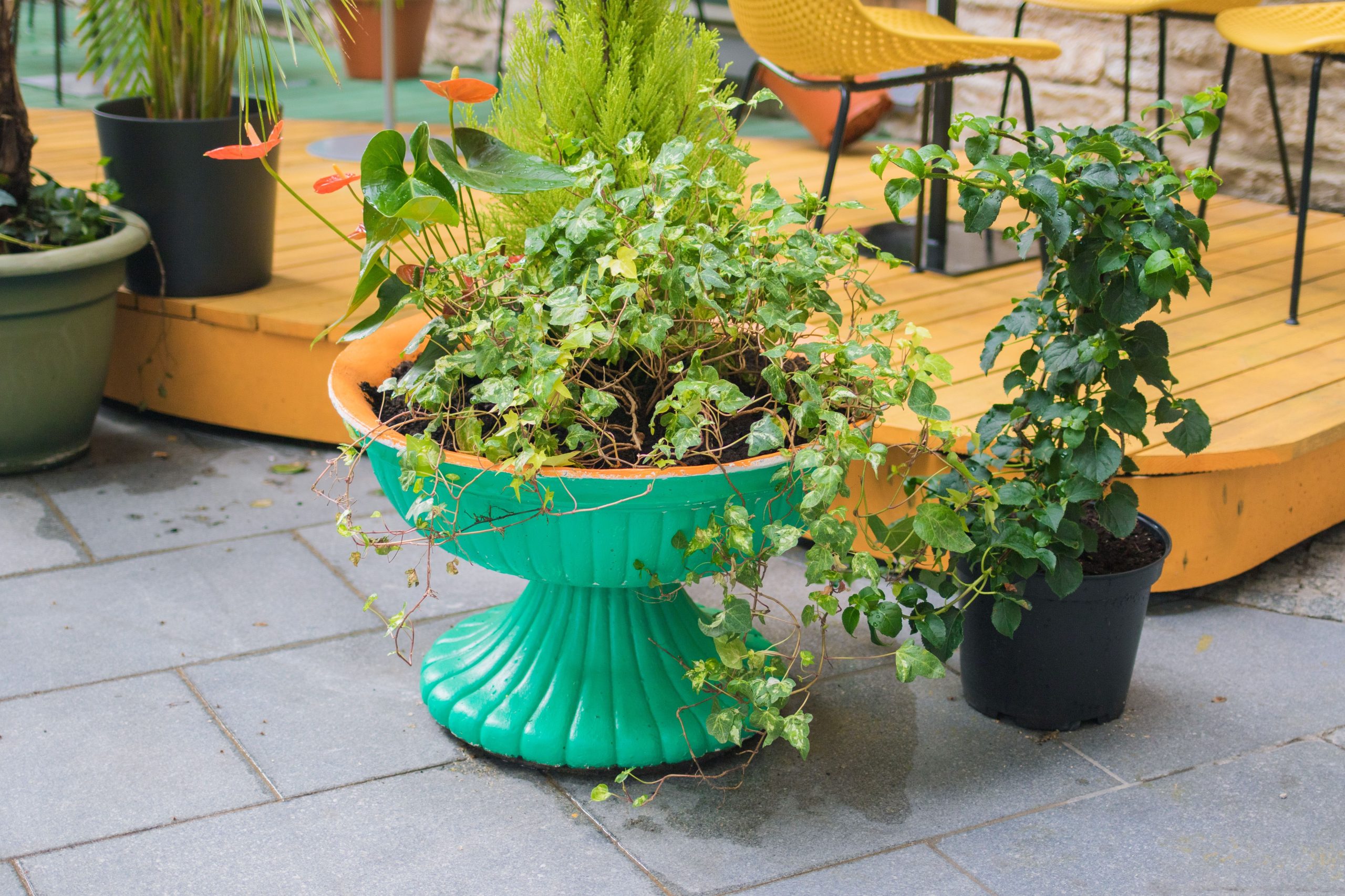 Lush green plants in colorful pots on a stylish outdoor patio with modern seating.