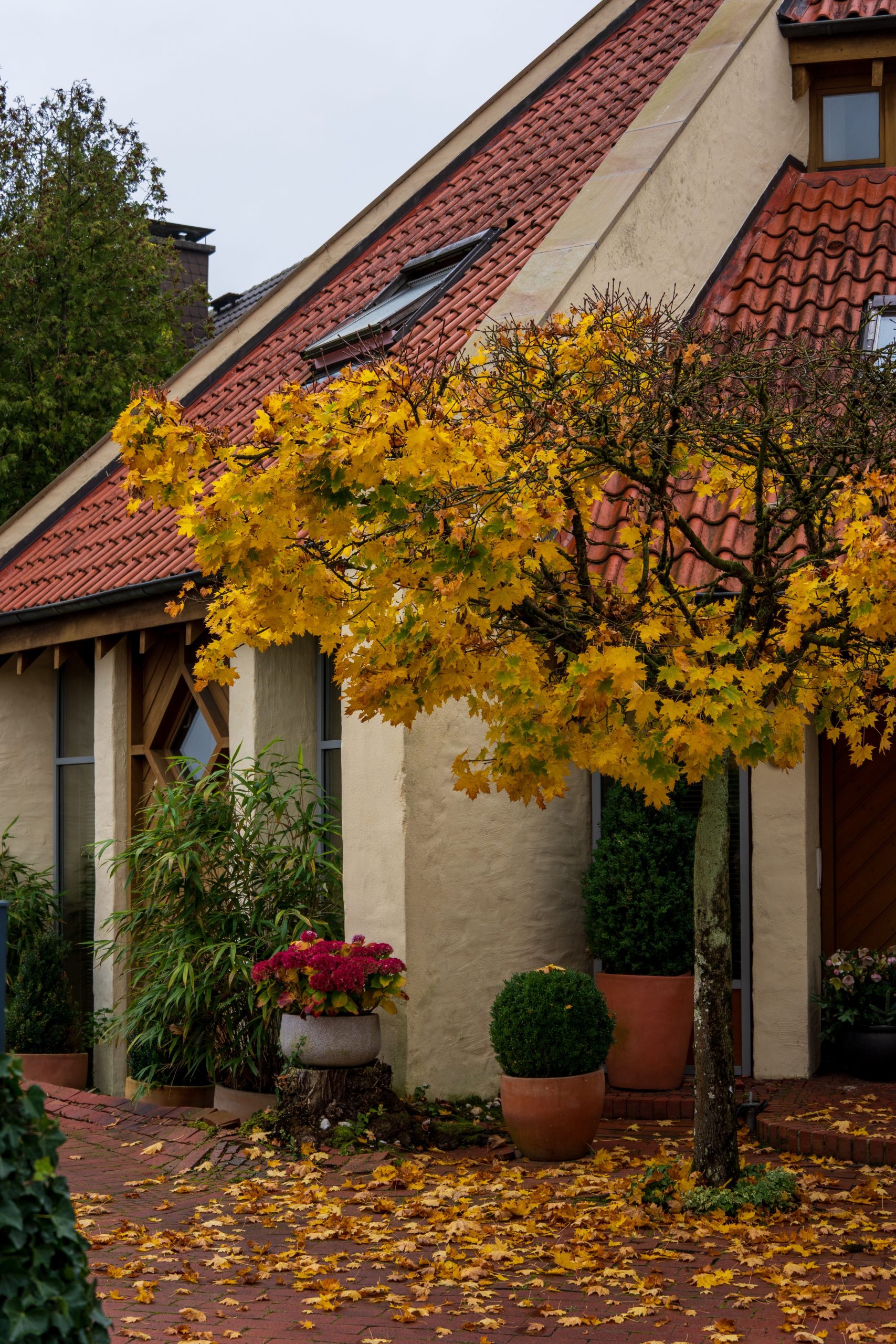 Picturesque cottage surrounded by vibrant fall foliage and a cozy atmosphere.