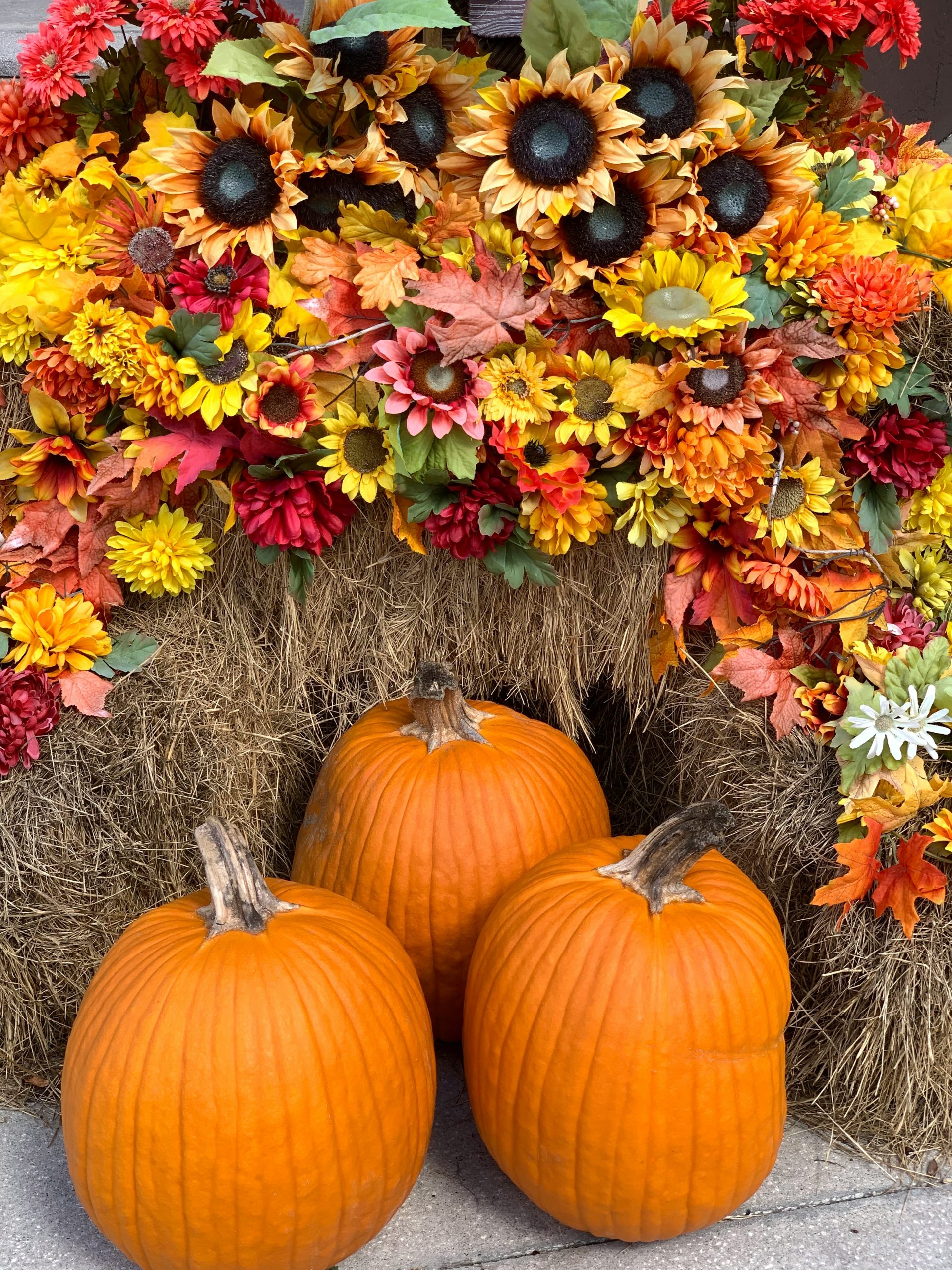 Pumpkin and Flowers Display