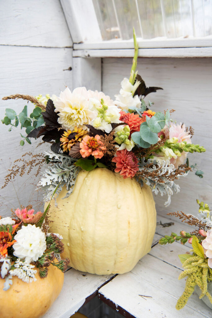 Pumpkin Centrepieces