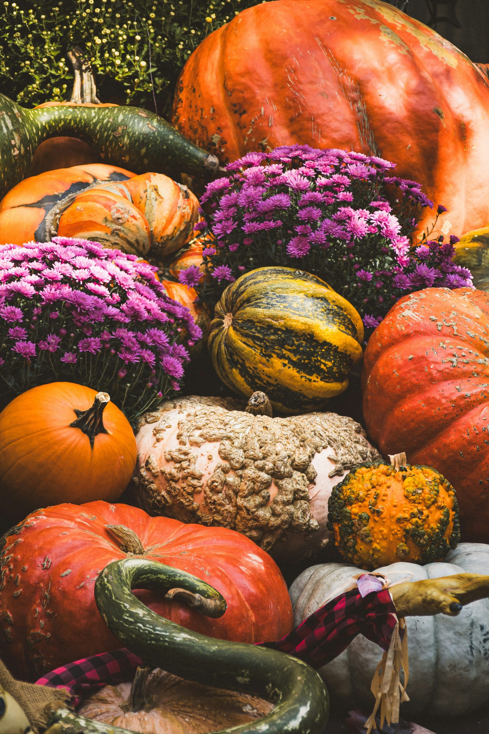 Pumpkins