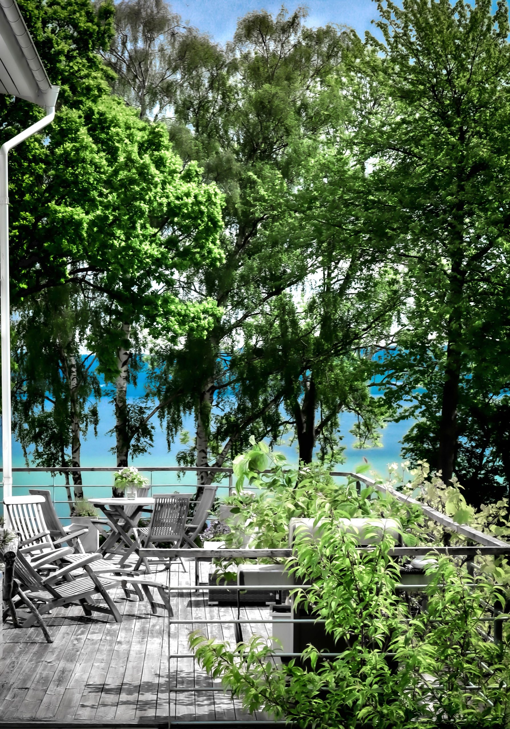 Relaxing porch overlooking the sea with lush greenery and outdoor furniture, perfect for tranquil escapes.