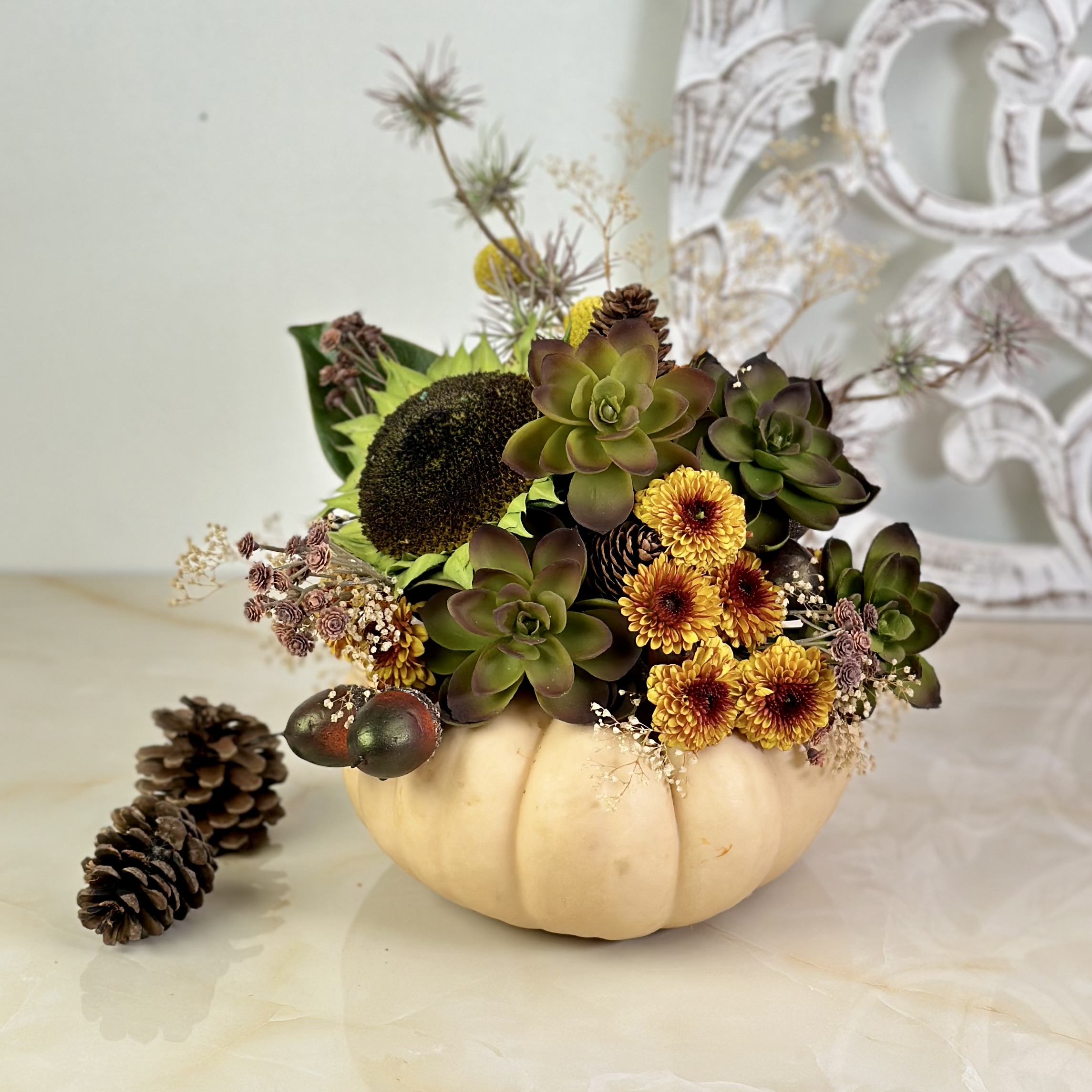 Succulent Pumpkin - Flower And Cafe
