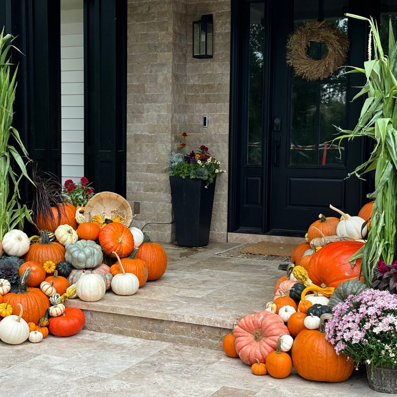 The Grand Harvest | Front Porch Flora