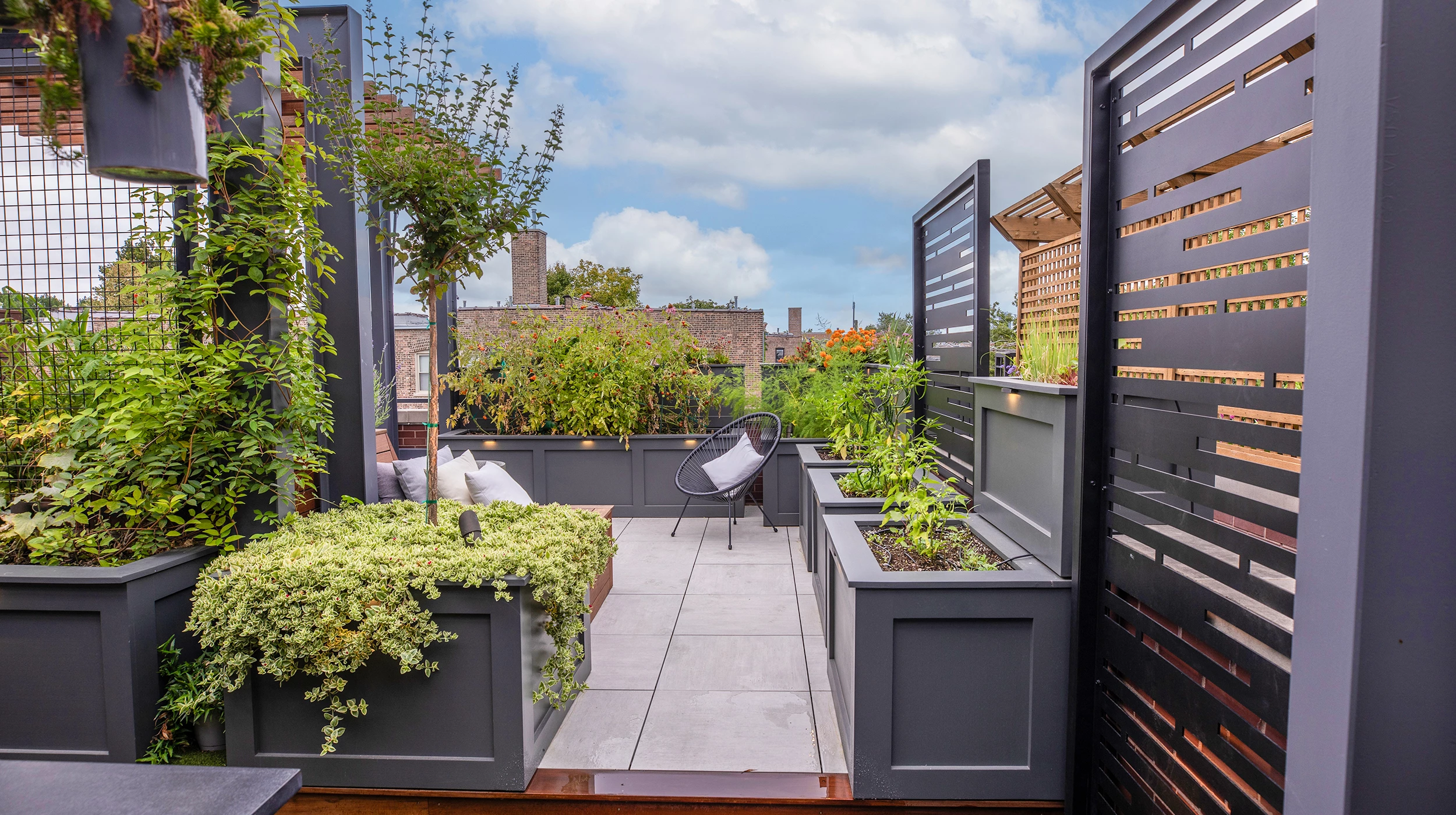 Trellis | Shade Structure | Chicago Roof Deck + Garden