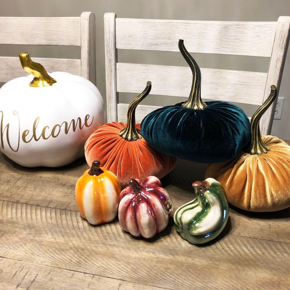 Velvet Pumpkins – Life According to Jamie