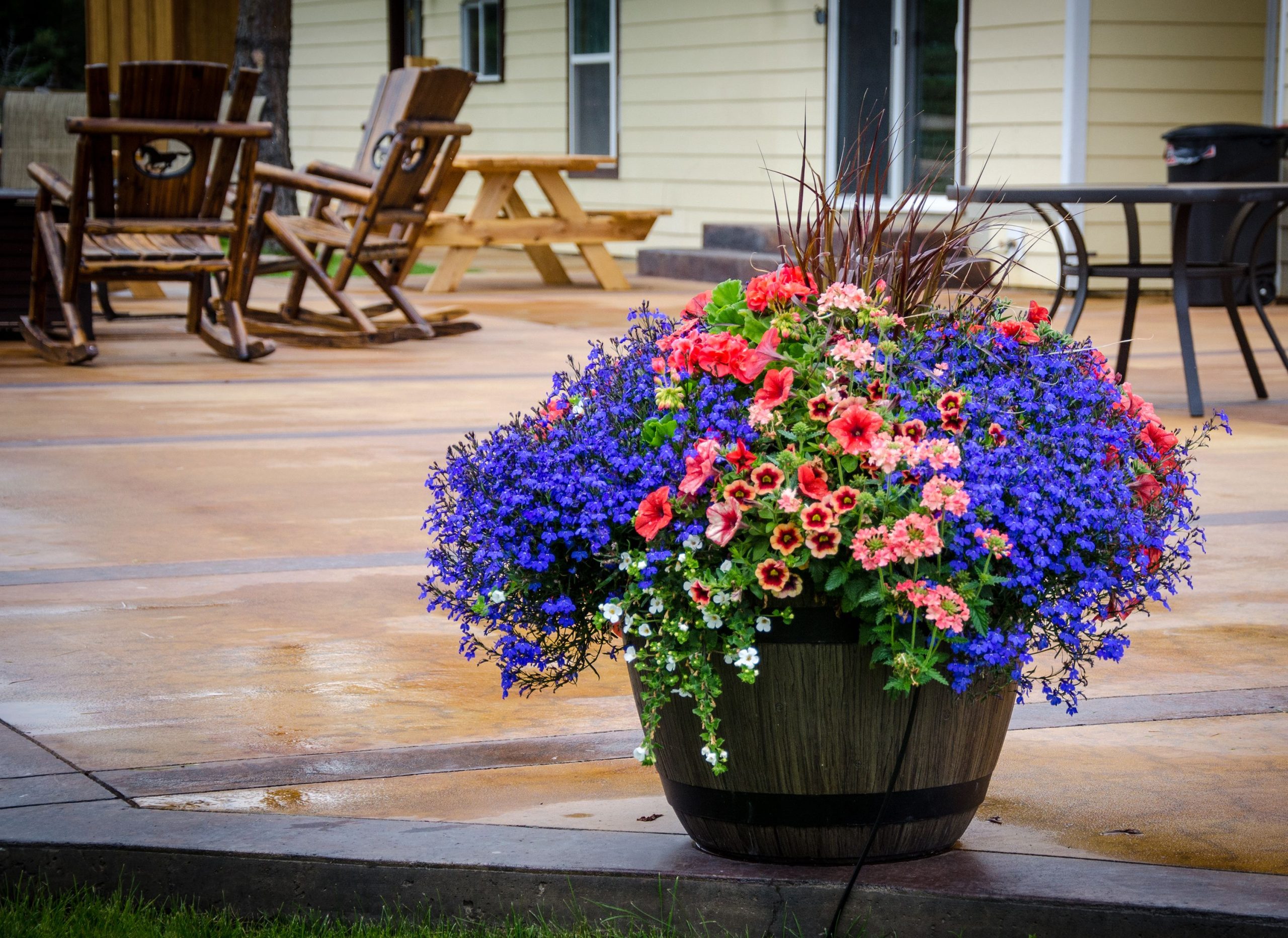 Vibrant flowers in a barrel enhance a cozy wooden patio setting, perfect for spring decoration.