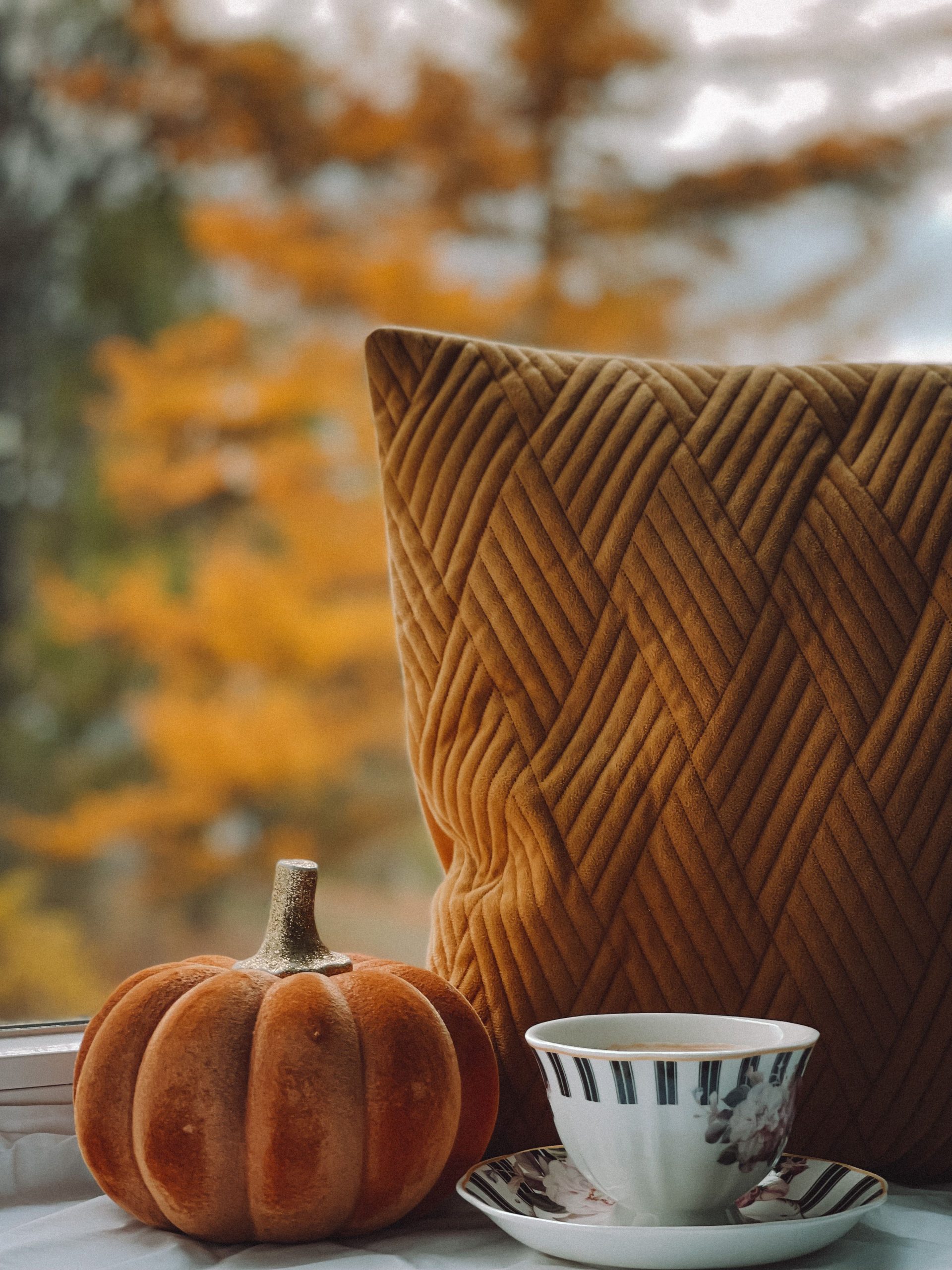 Warm autumn scene with cup, pumpkin, and pillow by the window.