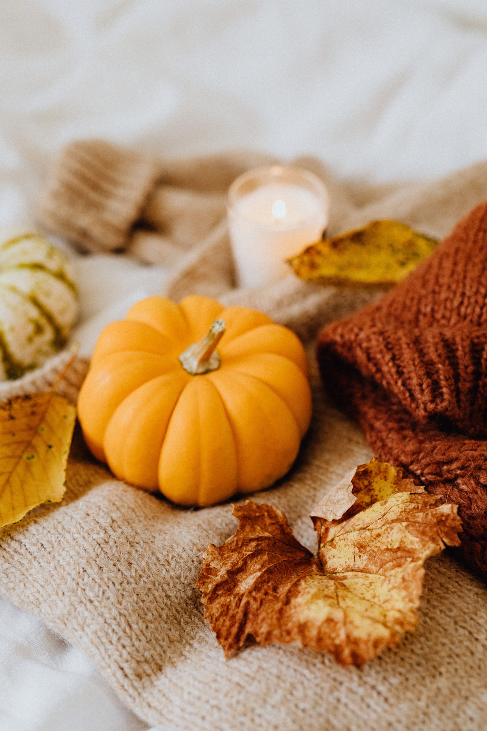 Warm fall scene featuring a pumpkin, leaves, and knit blanket.