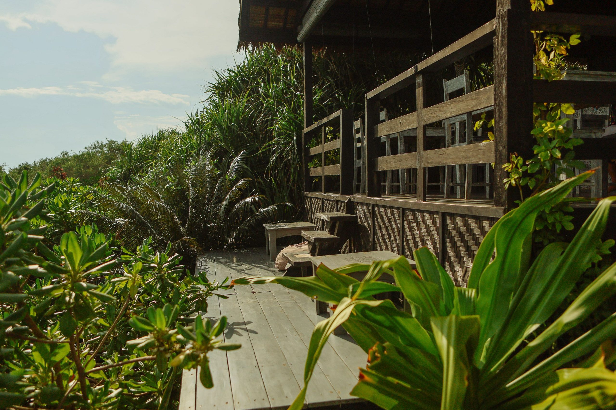 Wooden deck surrounded by lush tropical plants, offering a serene and tranquil setting.