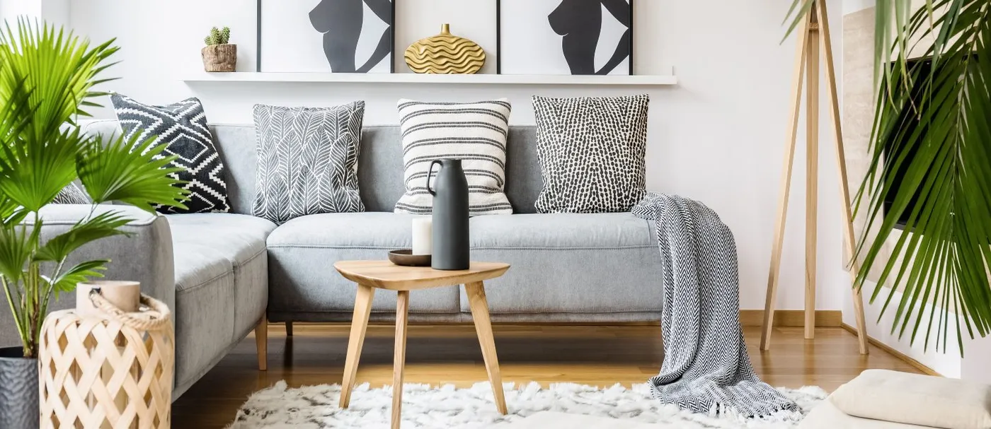 11 Apartment Small Living Room Ideas to Make Your Small Space Shine | Rent. Blog