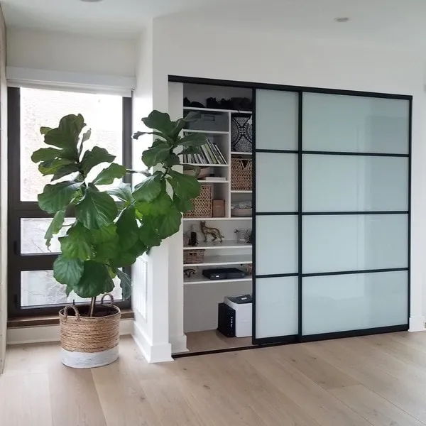 Closet Doors | Artistic Painted Glass | Creative Mirror & Shower