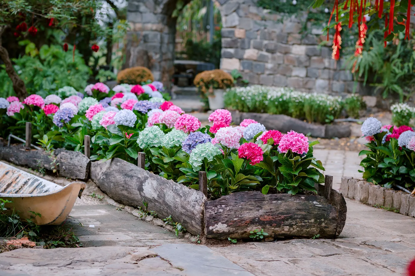 Colorful hydrangeas bloom in a serene garden with stone pathways and natural wood borders.