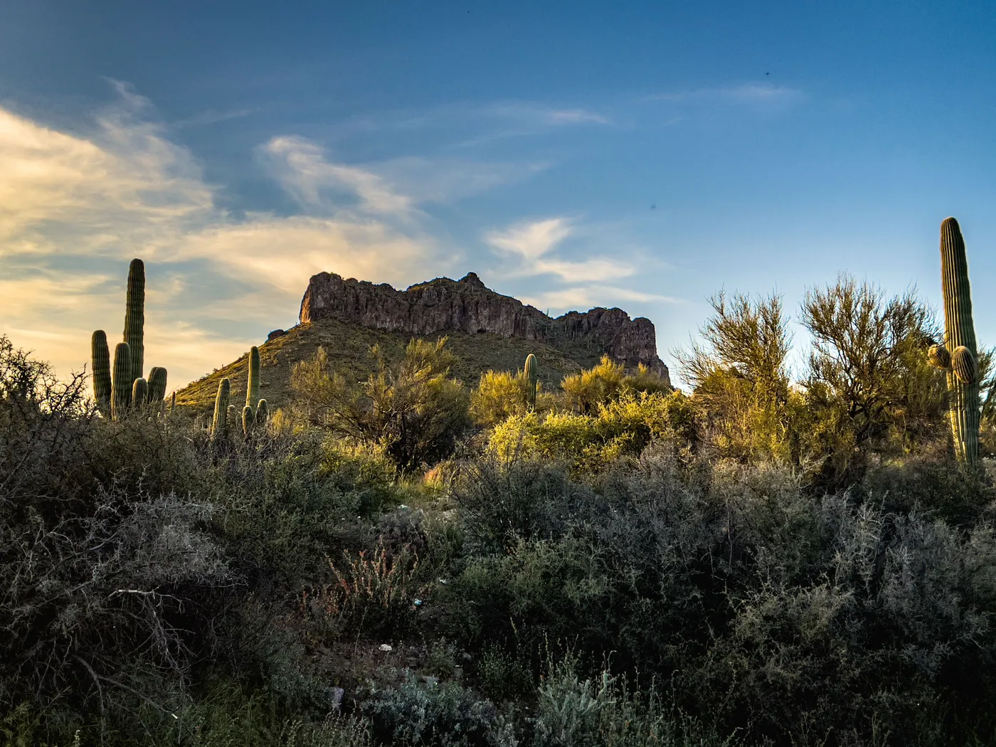 Dramatic Arizona desert scene featuring saguaro cacti and rugged mountains under a blue sky.
