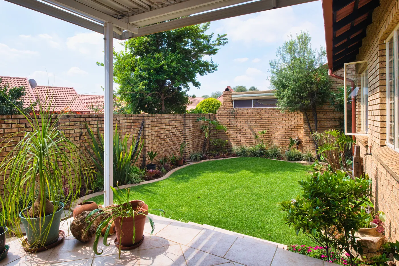 Explore a sunny brick-walled backyard garden in Pretoria, South Africa, showcasing lush greenery and potted plants.