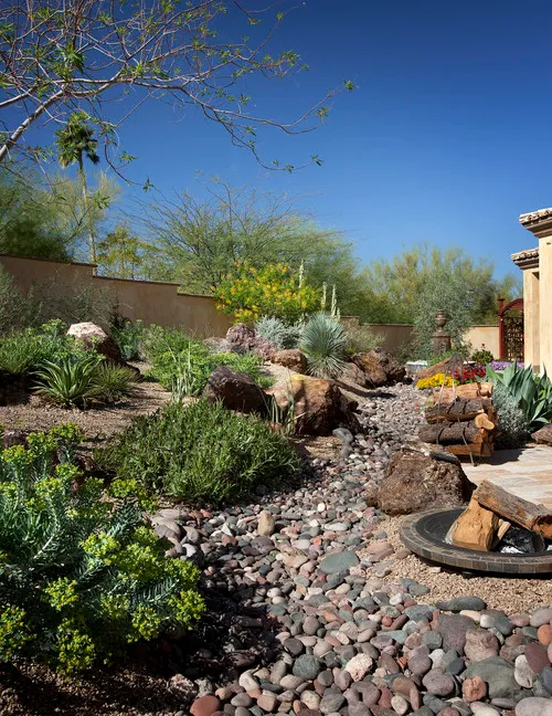 How to create a Southwestern desert landscape design | Total Landscape Care