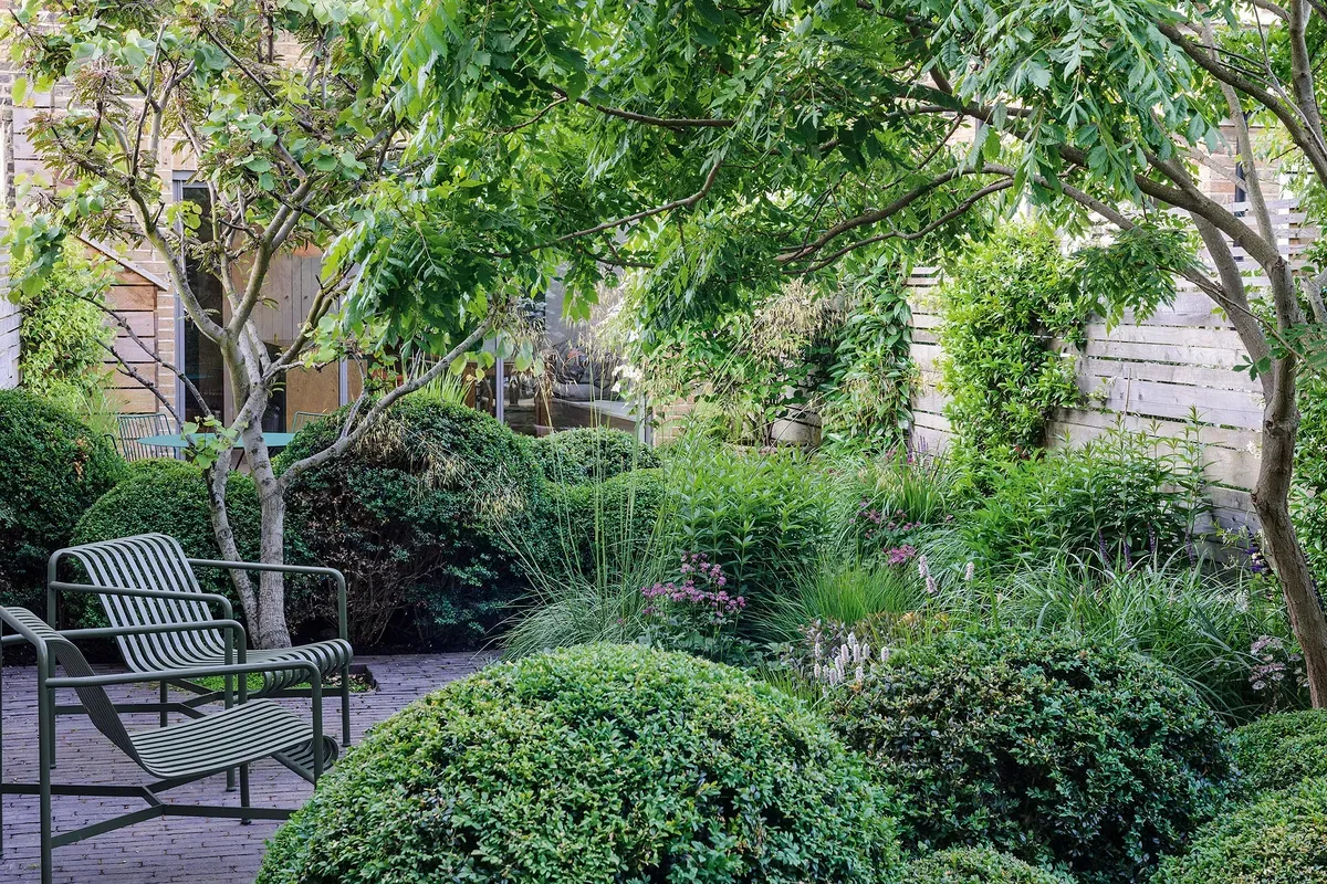 How to create an inner-city minimalist garden | Gardens Illustrated