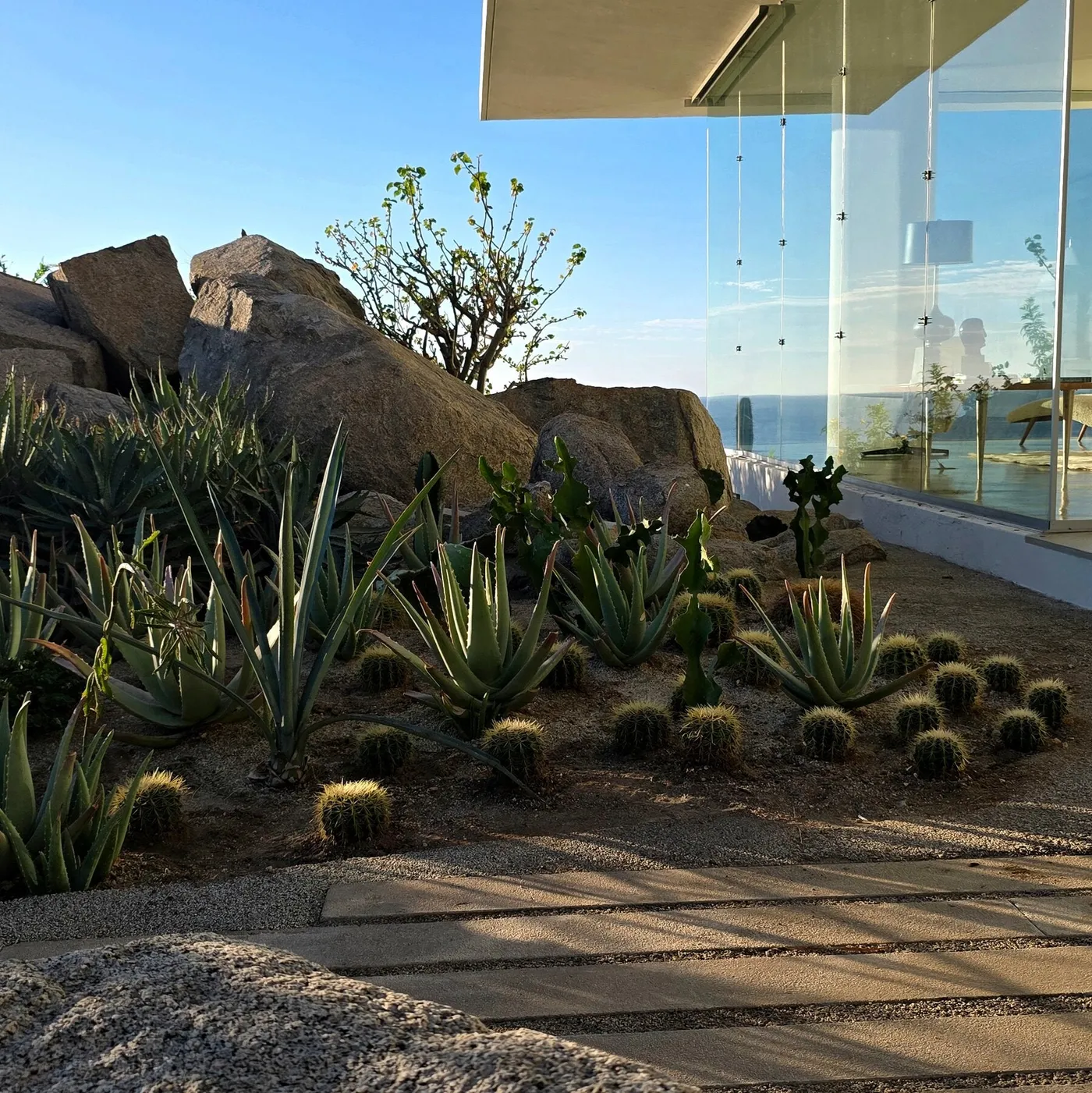 In Cabo San Lucas, a Desert Oasis Gets a Refresh Decades Later - The New York Times