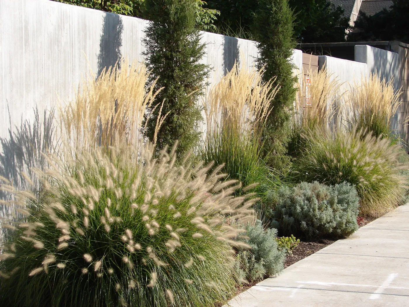 Low Maintenance Landscaping in Houston, TX