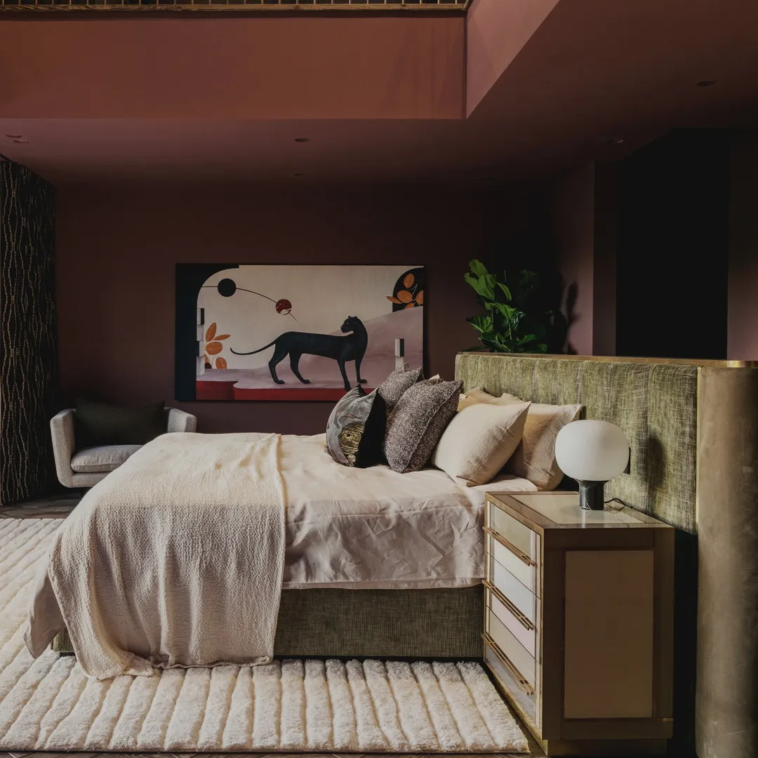 The Expert - Suite Dreams