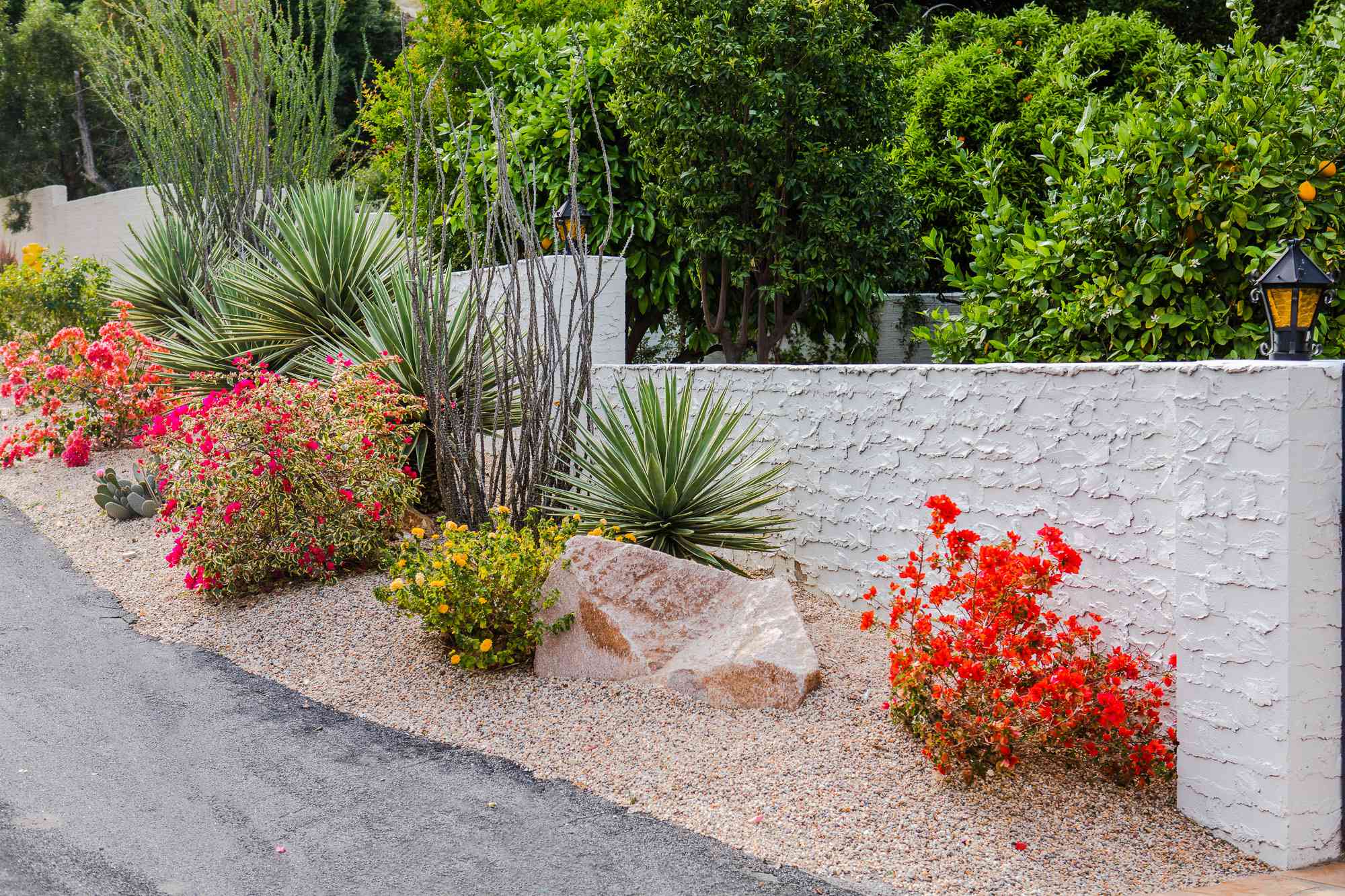 What Is Drought-Tolerant Landscaping?