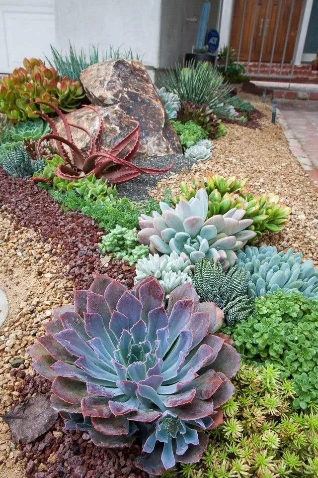 Xeriscape. The Secret to Low Maintenance Yards. — Hennai Modern Home & Garden