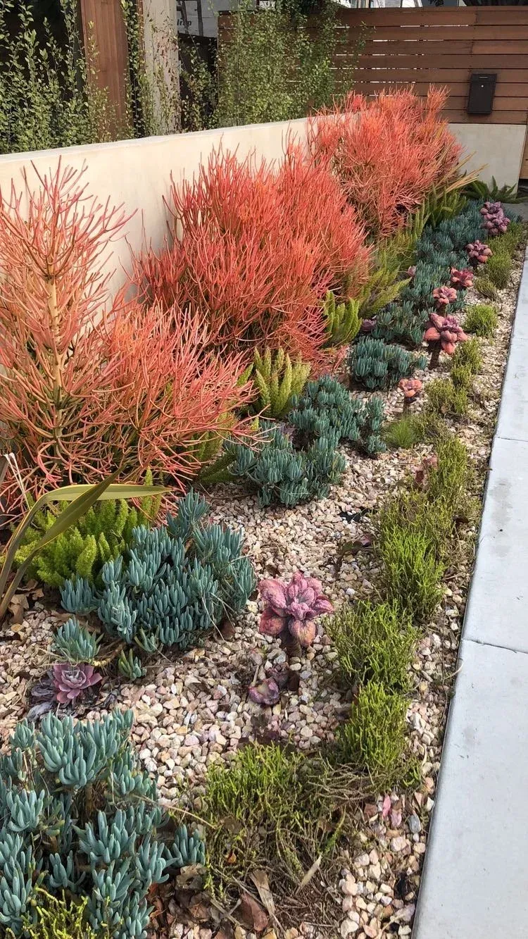 Xeriscape. The Secret to Low Maintenance Yards. — Hennai Modern Home & Garden