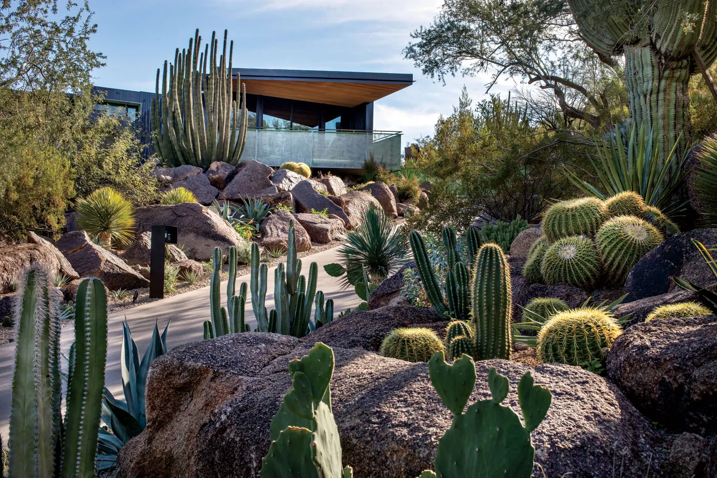 Xeriscaping: How to Create a Drought-Tolerant Landscape
